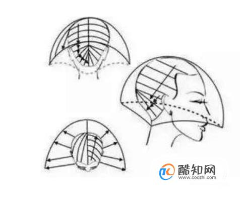 ��ѧ�������ż�������